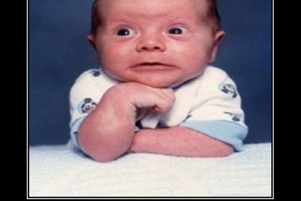 Как зайти на где купить котиков