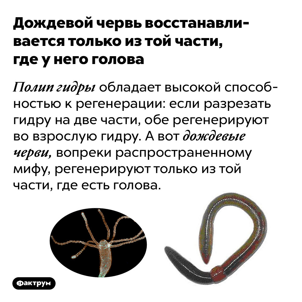 Проверенные способы рабочий кракен